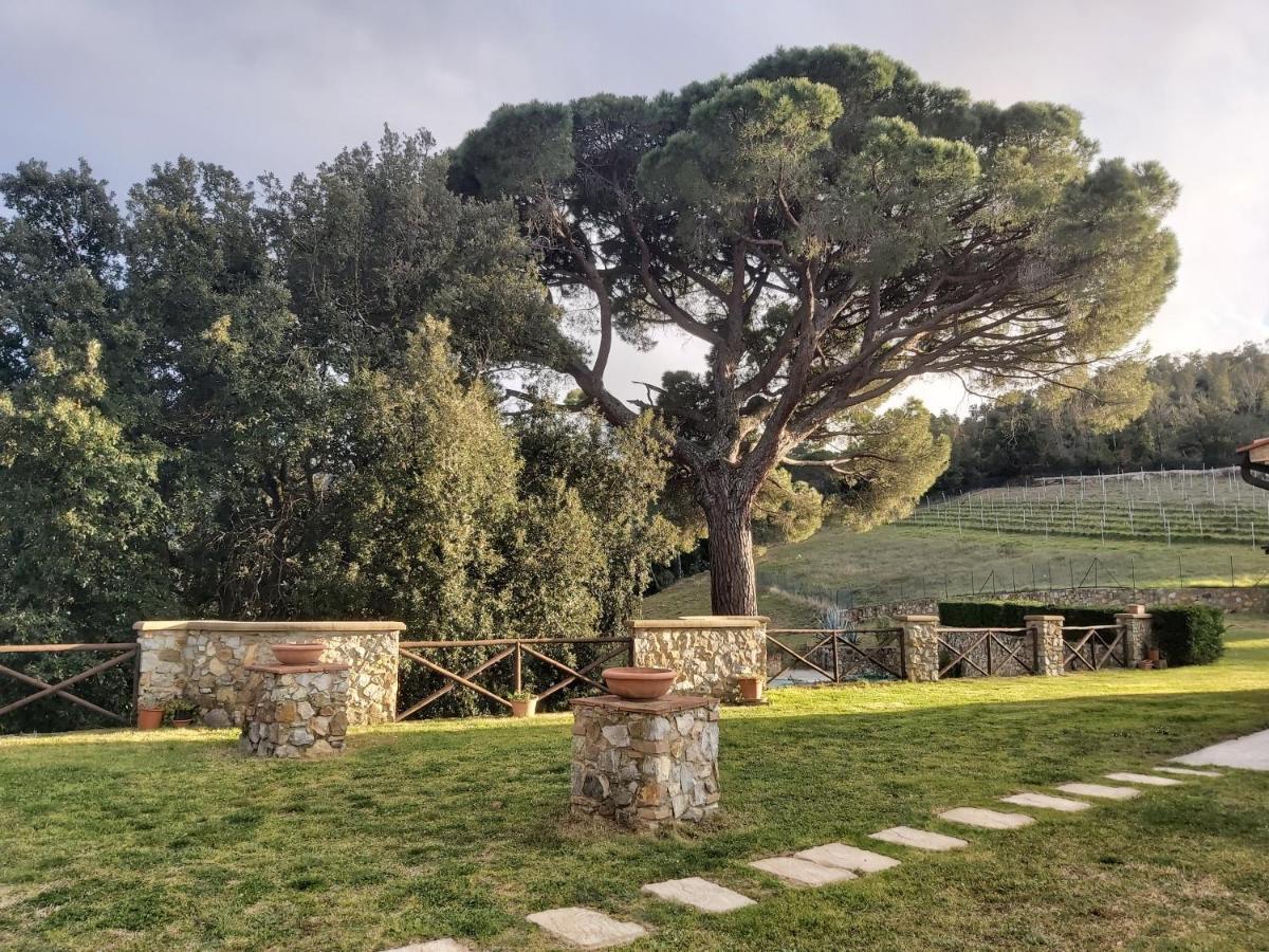 Agriturismo Aia Leccioni Micciano Exterior foto