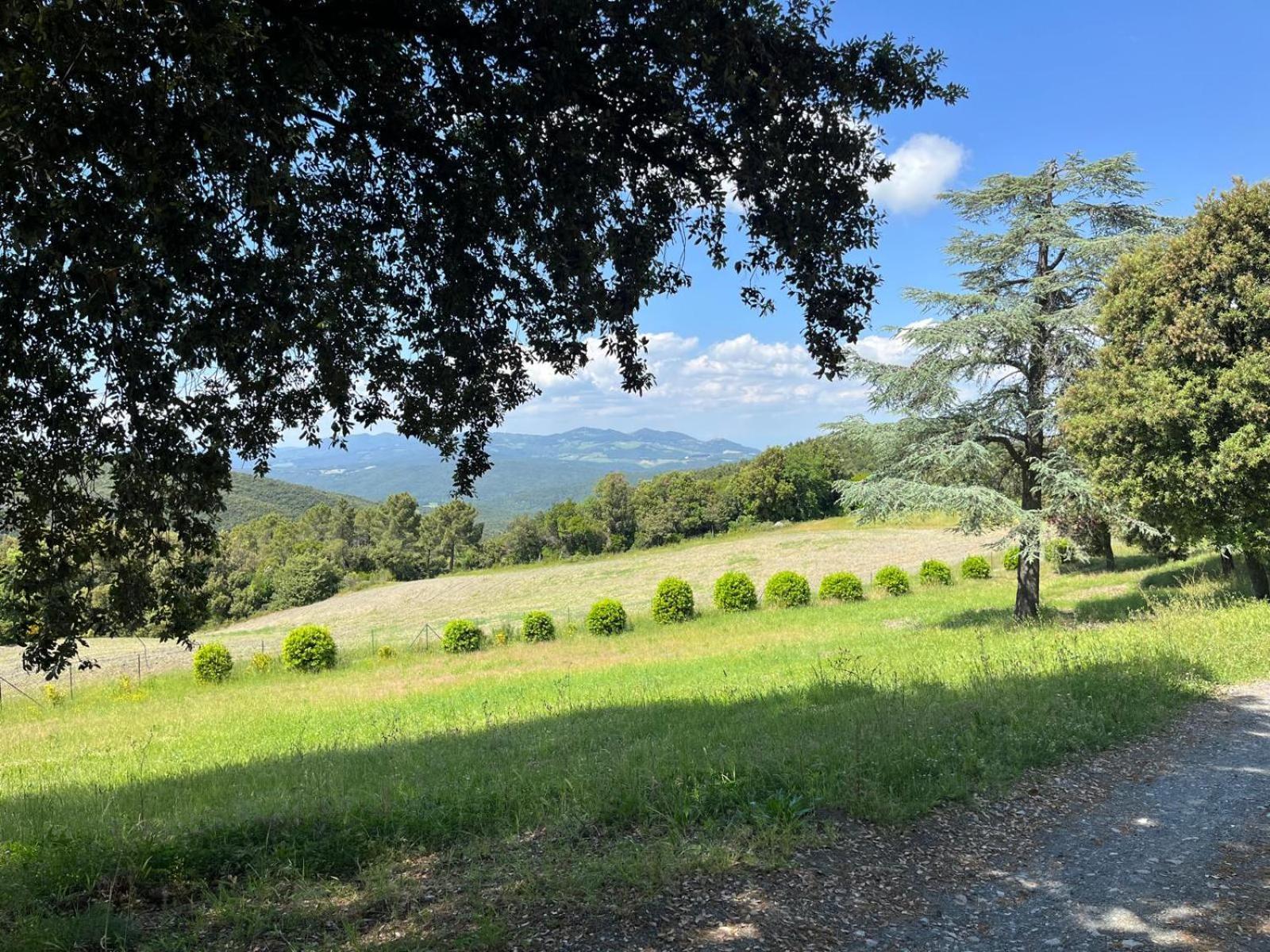 Agriturismo Aia Leccioni Micciano Exterior foto
